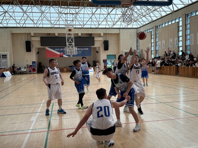 KakaoTalk_20250709_204717330_13.jpg