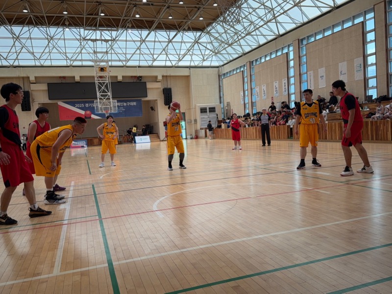 KakaoTalk_20250709_204717330_17.jpg