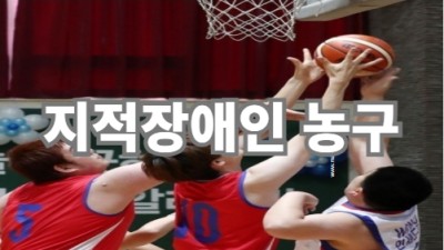 지적장애농구